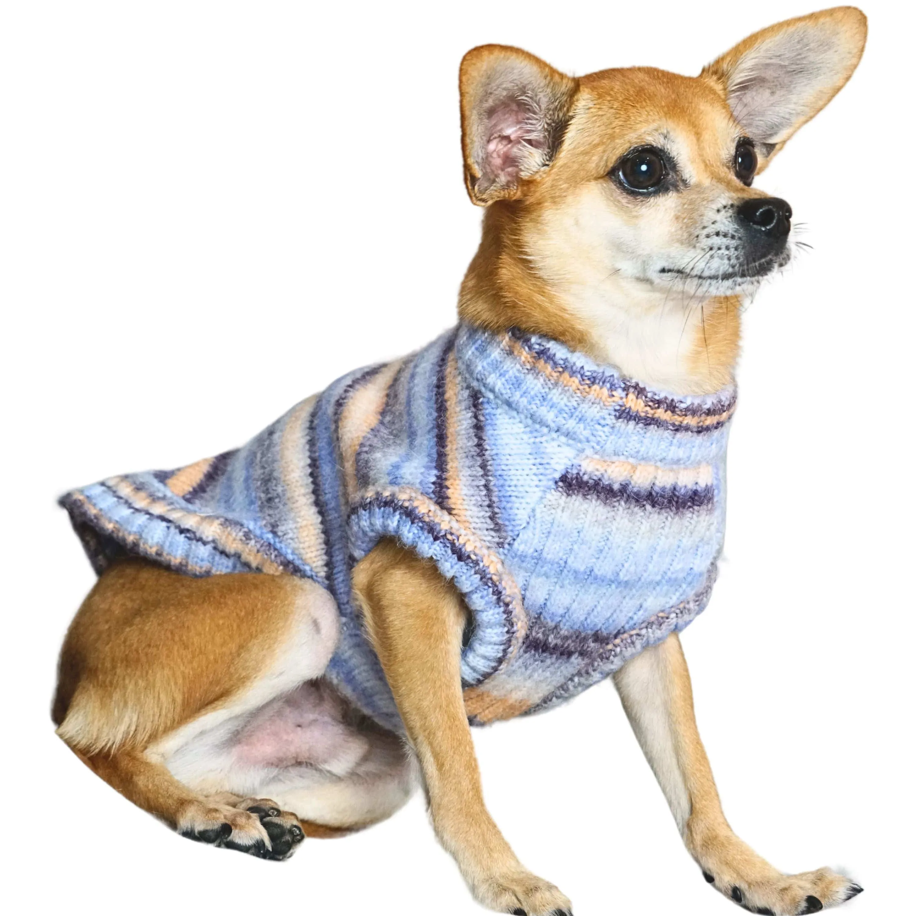 Cozy Soft Gradient Yarn Crew Neck Dog Sweater