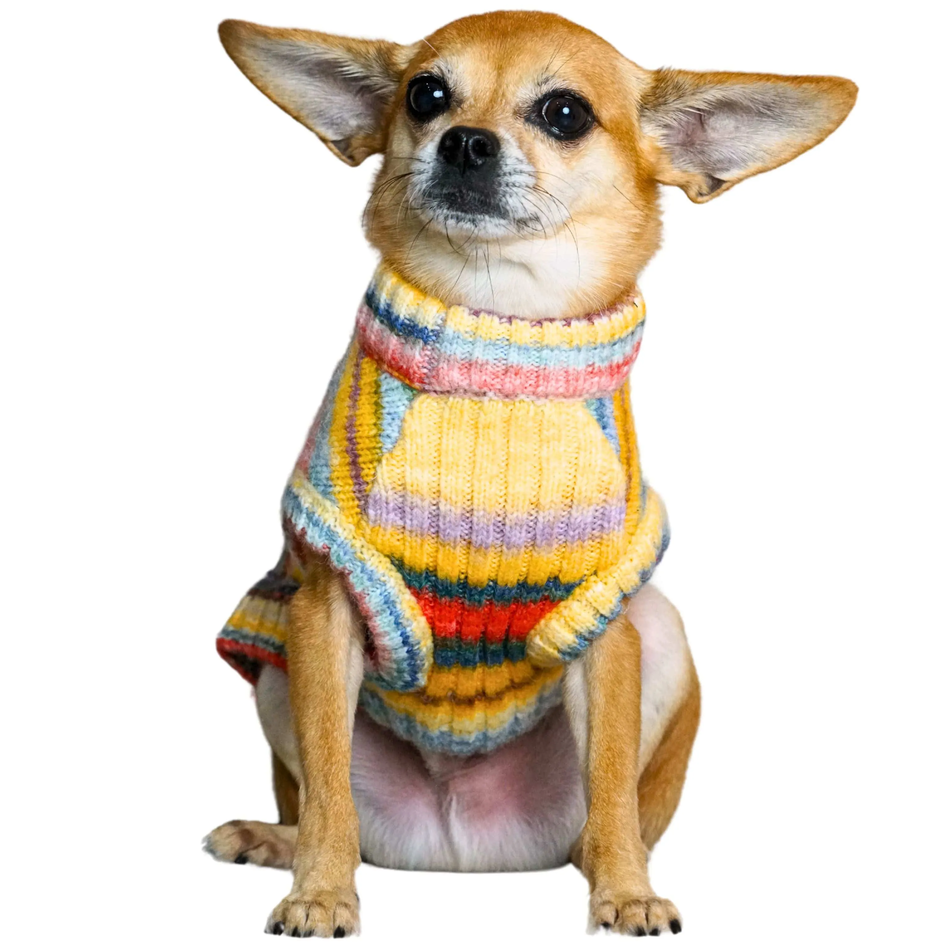 Cozy Soft Gradient Yarn Crew Neck Dog Sweater