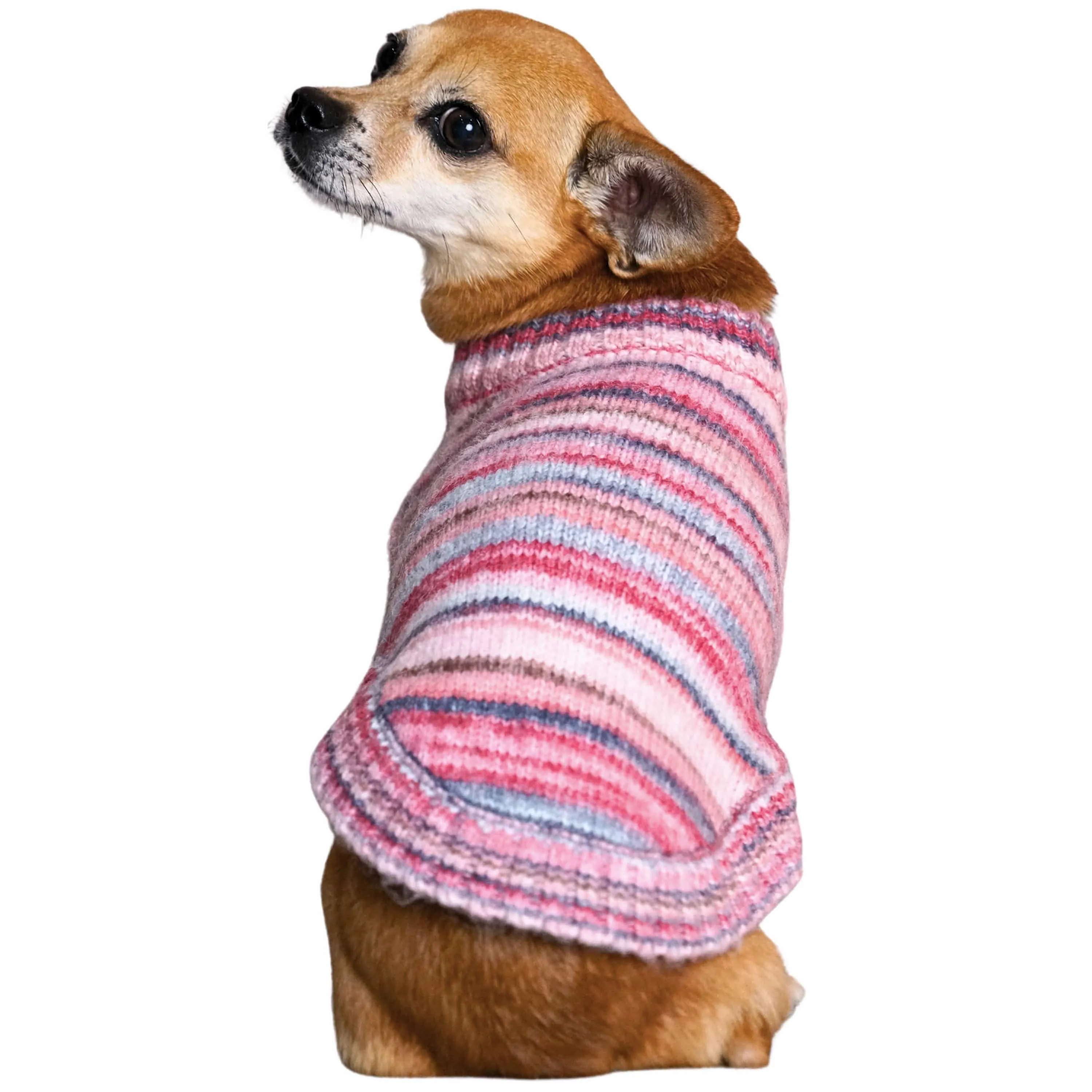 Cozy Soft Gradient Yarn Crew Neck Dog Sweater