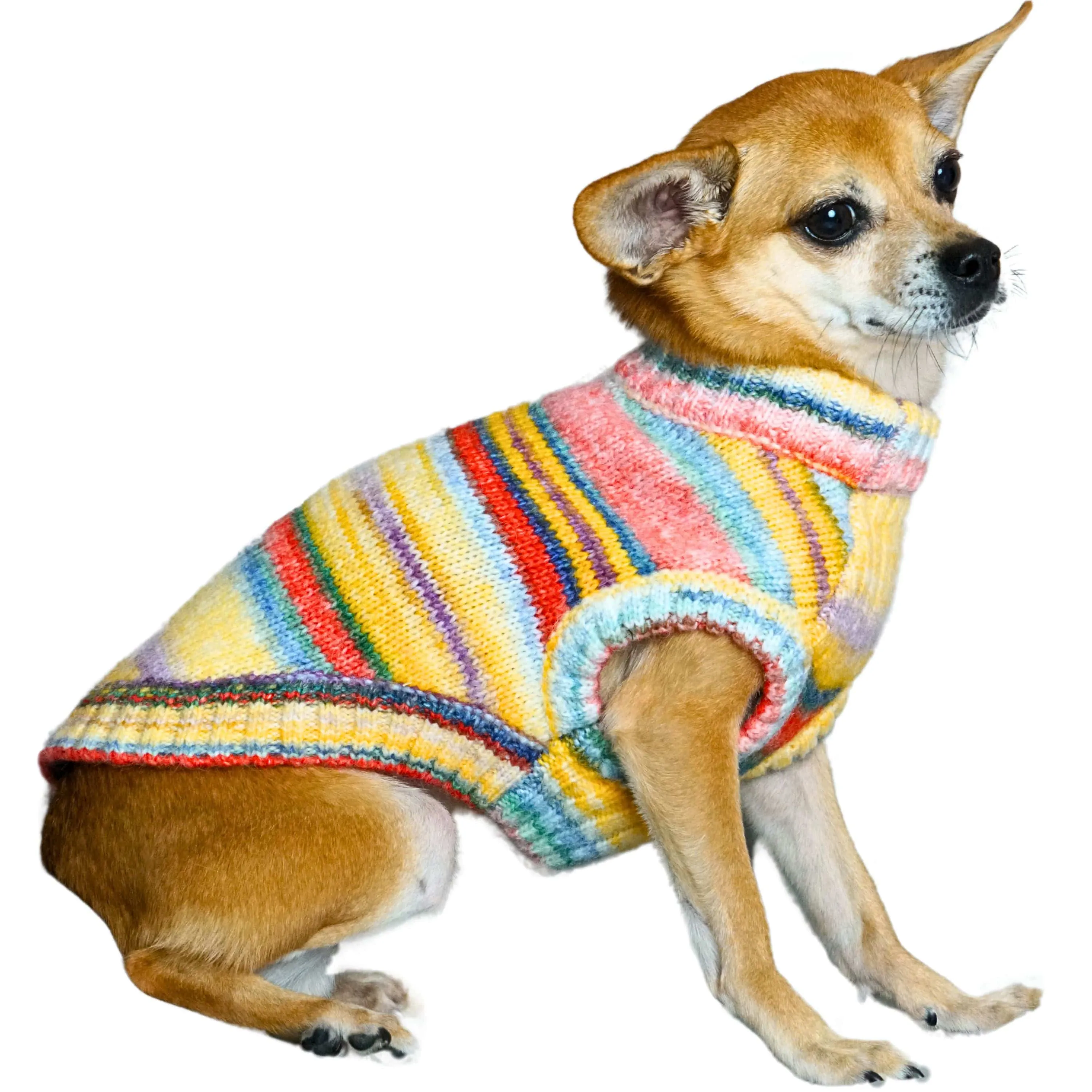 Cozy Soft Gradient Yarn Crew Neck Dog Sweater