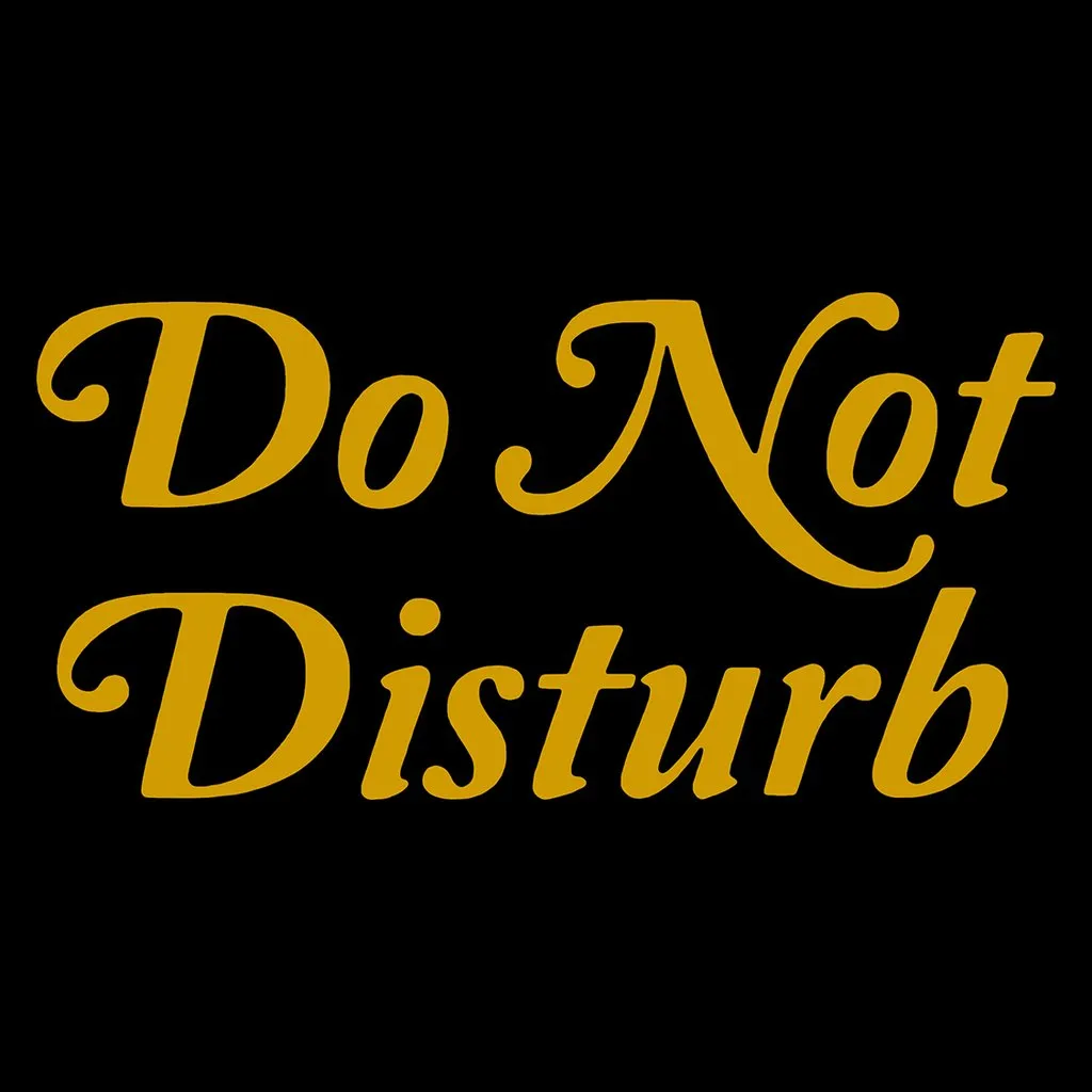 Do Not Disturb // Ace Hotel x Hiro Clark